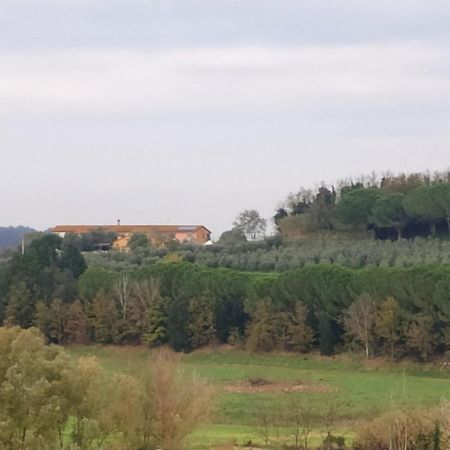 Agriturismo L'Isola Crespina Екстер'єр фото
