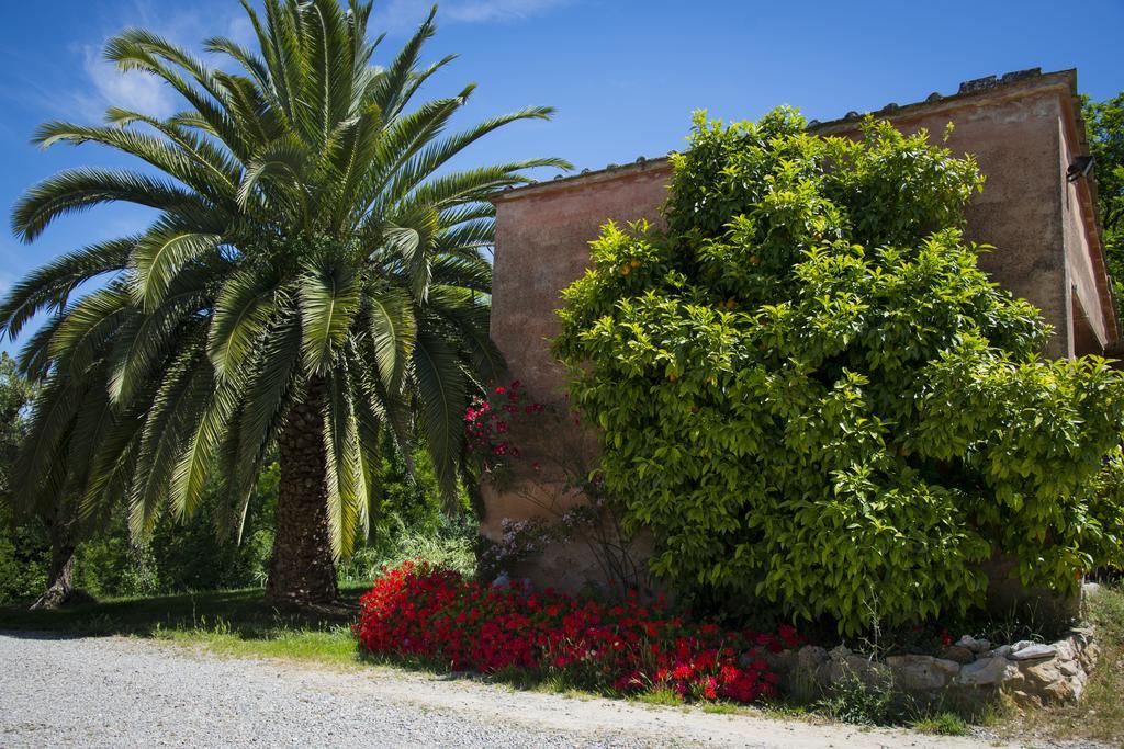 Agriturismo L'Isola Crespina Номер фото