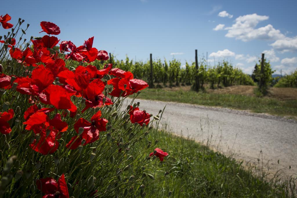 Agriturismo L'Isola Crespina Екстер'єр фото