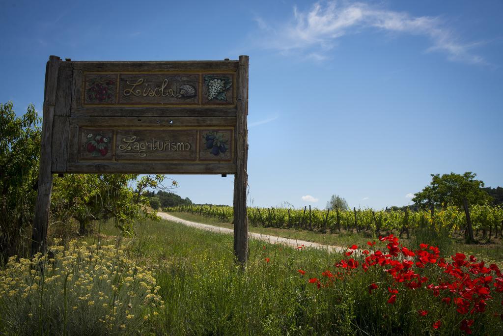 Agriturismo L'Isola Crespina Номер фото