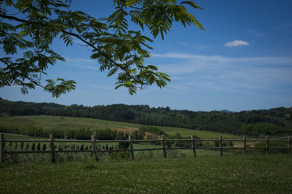 Agriturismo L'Isola Crespina Номер фото