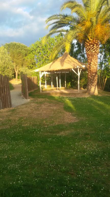 Agriturismo L'Isola Crespina Екстер'єр фото