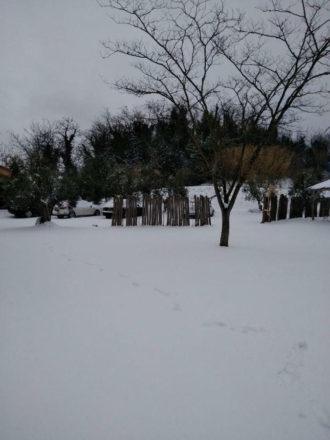 Agriturismo L'Isola Crespina Екстер'єр фото